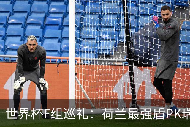 世界杯F组巡礼：荷兰最强盾PK瑞典犀利刀 日本短板明显
